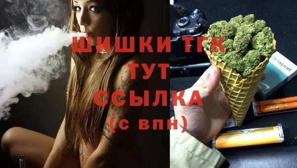 стафф Каменногорск