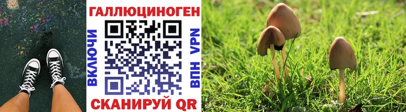 Галлюциногенные грибы мухоморы  где купить   Белоярский 